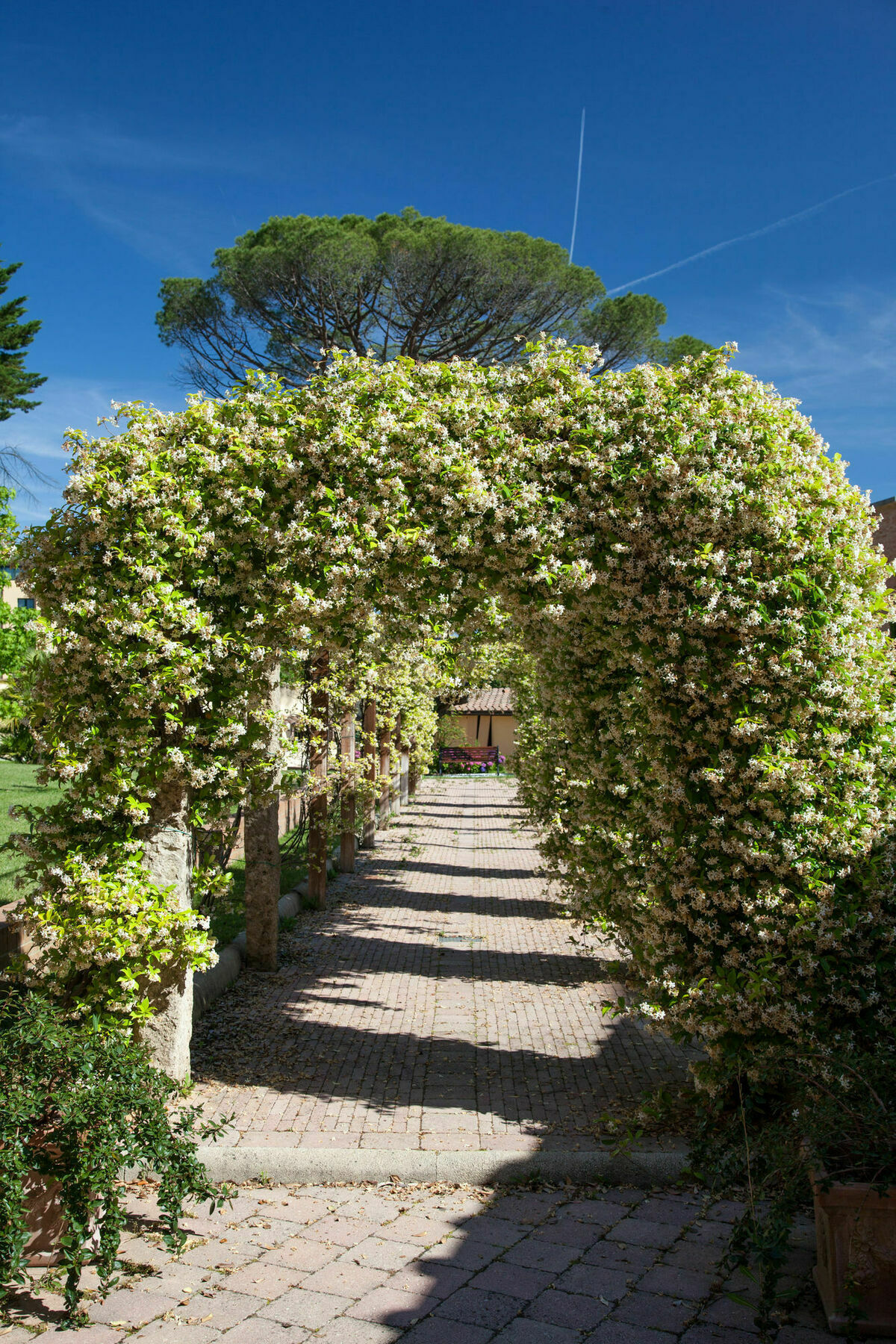 Villa Borri Casciana Terme Zewnętrze zdjęcie